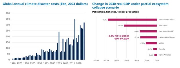 Global annual climate disaster cost ($bn,2024dollars) right graph and Change in 2030 real GDP under partial ecosystem collapse scenario left graph