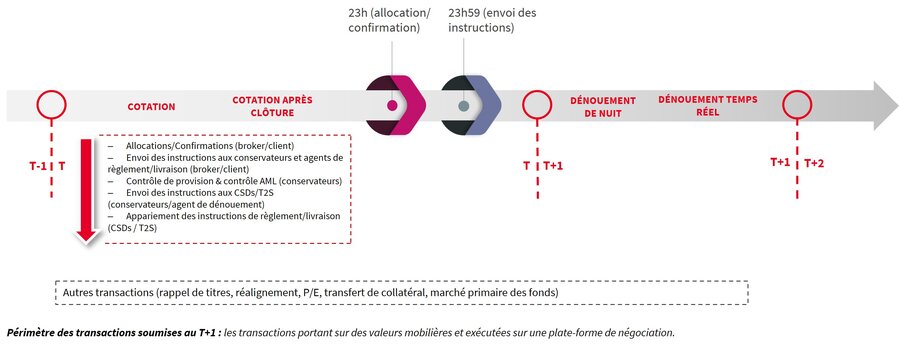 Schéma représentant le cycle de dénouement.